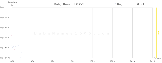 Baby Name Rankings of Bird