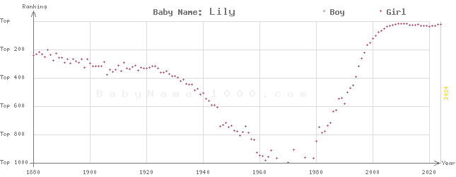 Baby Name Rankings of Lily